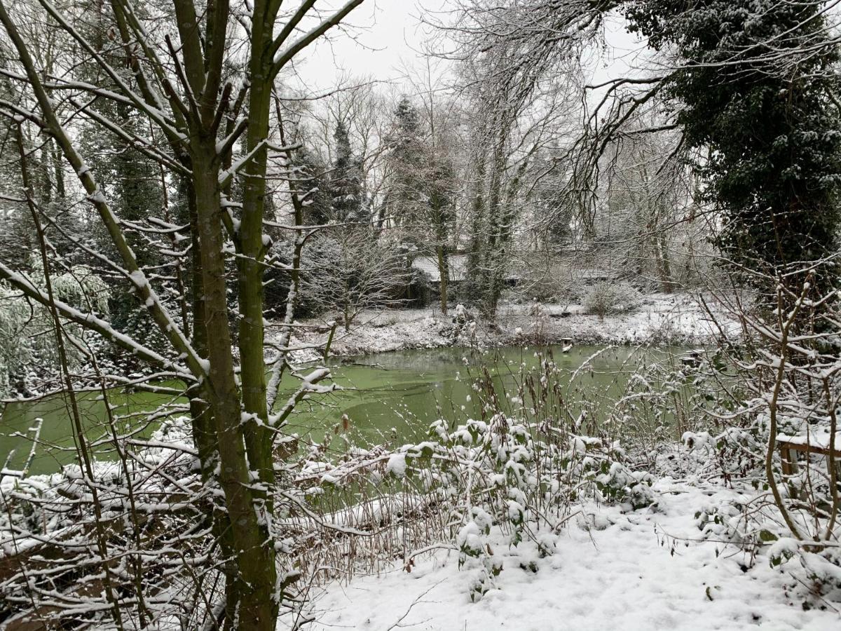 Gaestewohnung Hardinghaus Am Teich Warendorf Esterno foto