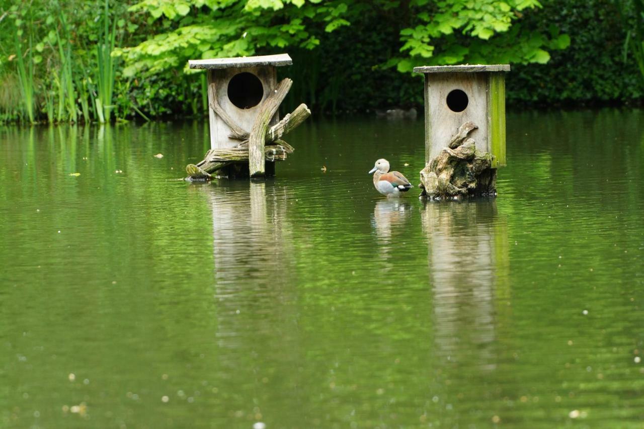 Gaestewohnung Hardinghaus Am Teich Warendorf Esterno foto